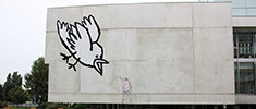 ella | pitr | bird | grenoble | france (11 votes)