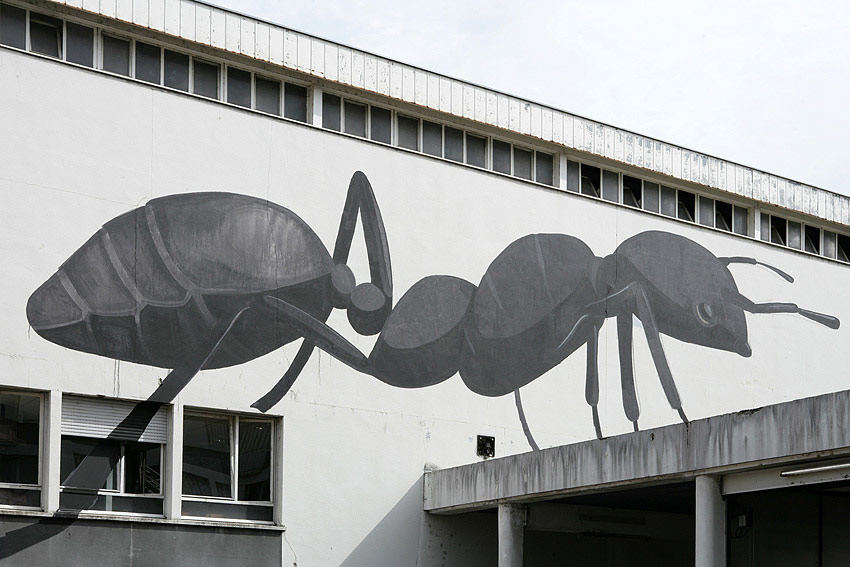 escif | ant | bu12 | besancon | france