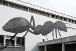 escif | ant | bu12 | besancon | france (1 vote)