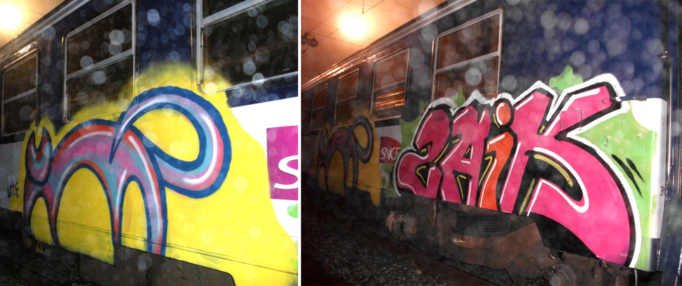 gato | zaick | train | france