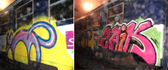 gato | zaick | train | france (16 votes)