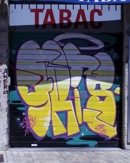 gris1 | shutters | lyon | france