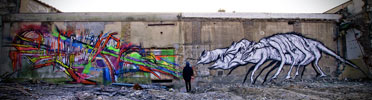 iemza | reims | france (35 votes)