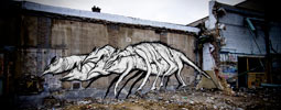 iemza | reims | france (20 votes)