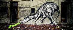 iemza | reims | france (22 votes)