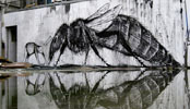 iemza | water | reims | france (30 votes)