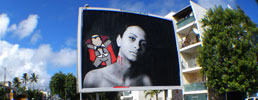 jace | billboard | reunion | france (26 votes)