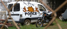 jace | car | police | madagascar (64 votes)