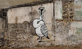 michael-beerens | bird | paris (17 votes)