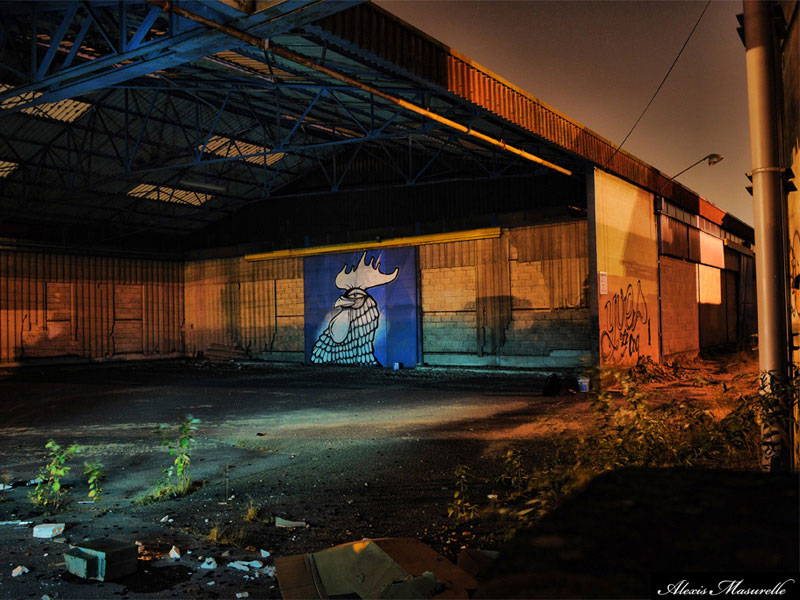 michael-beerens | night | chicken | france