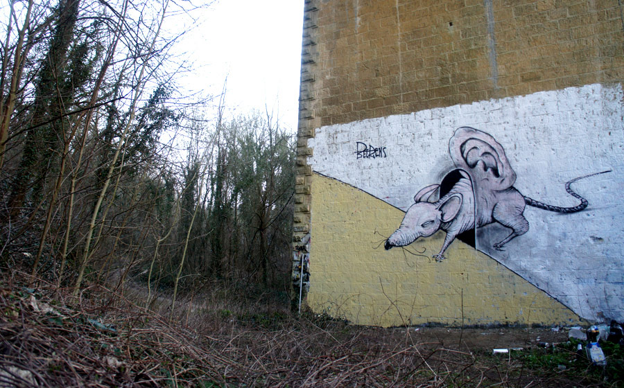 michael-beerens | rat | france