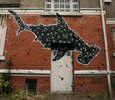 michael-beerens | shark | france (26 votes)