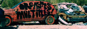 mortibus | car | text-message | nice | france (22 votes)