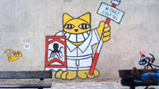 mrchat | cat | setes | france (22 votes)