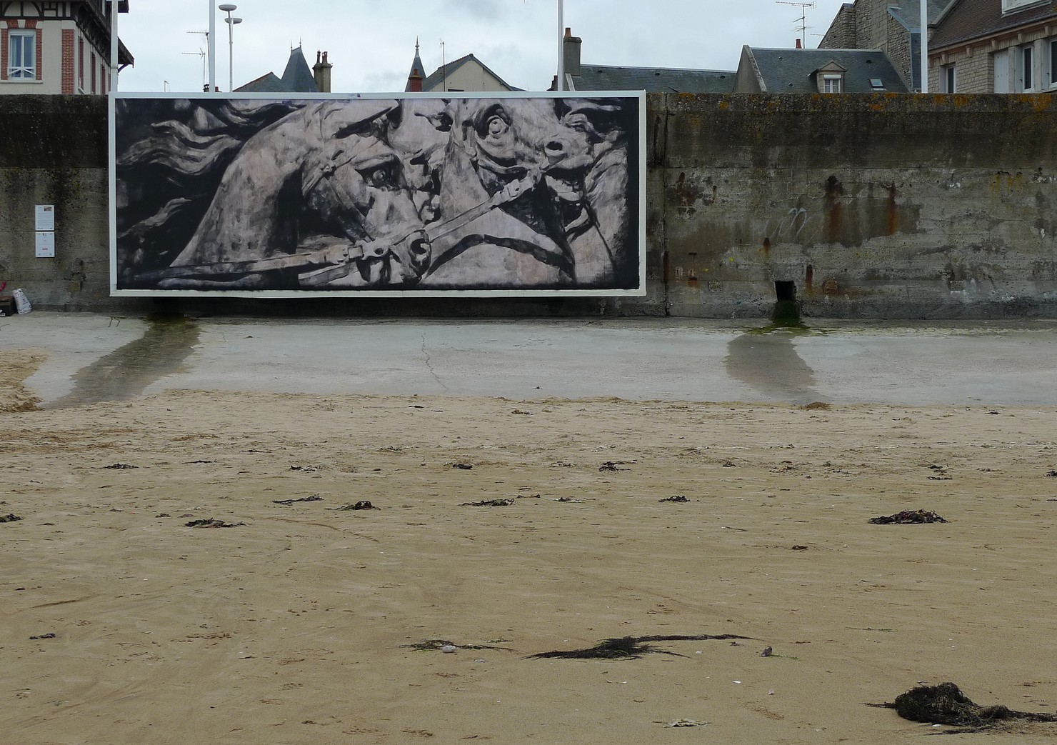 openyoureyes | lemur | horse | beach | billboard | france