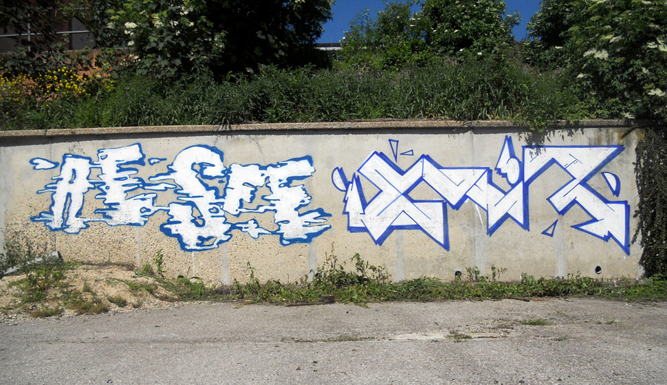 resfe | emir | reims | france