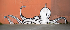 resfe | octopus | reims | france (25 votes)