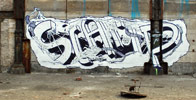 scamp | lille | france (11 votes)