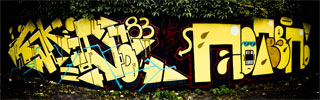 skid | nothin | yellow | france (28 votes)