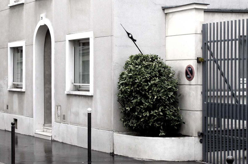 slow | bird | france