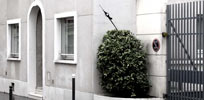 slow | bird | france (23 votes)
