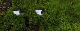 zorb | floor | contextual-face | marseille | green | france (33 votes)