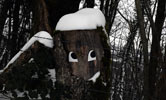 zorb | jura | snow | contextual-face | france (17 votes)