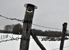 zorb | jura | snow | france (17 votes)