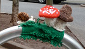 strickbombe | mushroom | saarbruecken | germany (18 votes)