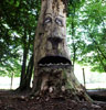 zonenkinder | tree | hamburg | germany (12 votes)