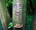 zonenkinder | tree | hamburg | germany (11 votes)