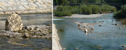 c100 | gold | 3-d | germany (17 votes)
