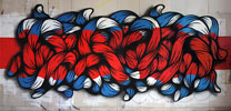crin | germany | berlin | red (72 votes)
