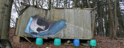 momo- | nartur | germany (10 votes)