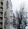 roa | rat | germany | berlin (25 votes)