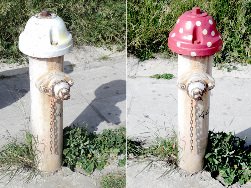 absent | 3-d | mushroom | greece