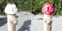 absent | 3-d | mushroom | greece (23 votes)