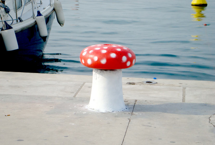 absent | mushroom | 3-d | greece