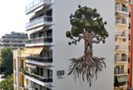 ser | big | thessaloniki | tree | greece (32 votes)