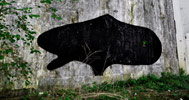 108 | black | italy (12 votes)