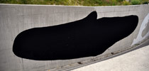 108 | black | fabriano | italy (21 votes)