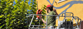 gola | process | reggioemilia | italy (5 votes)