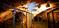elfo | brescia | underground | italy | winter10 (52 votes)