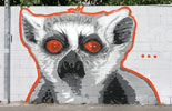 gnob | italy (41 votes)