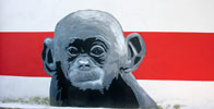 gnob | monkey | italy (46 votes)