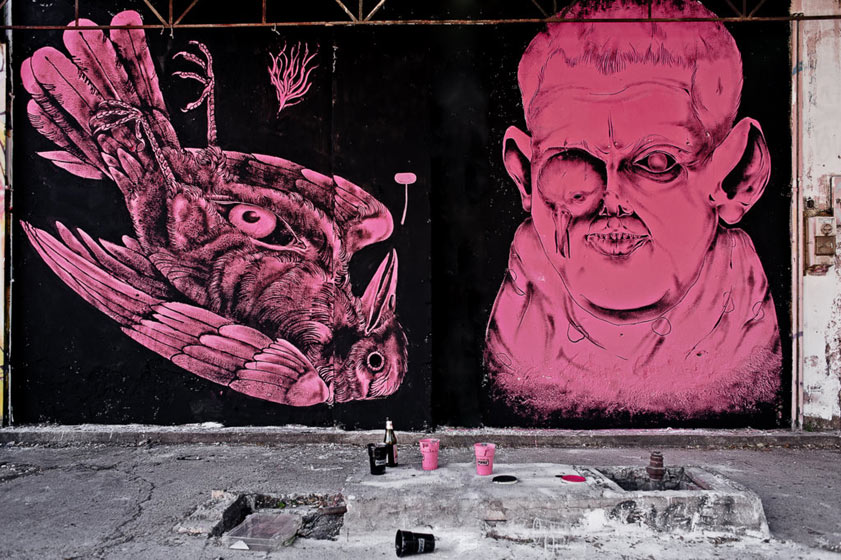 jameskalinda | centina | bird | pink | roma | italy