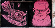 jameskalinda | centina | bird | pink | roma | italy (42 votes)