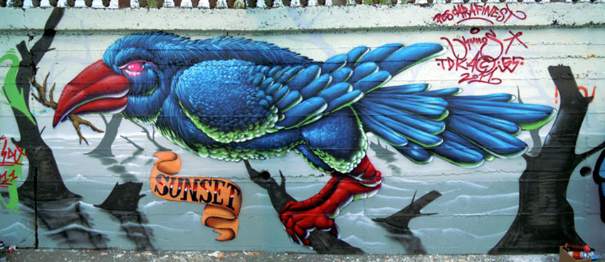 kunos | tdk | int55 | blue | bird | pescara | italy
