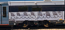 kaio | train | italy (14 votes)