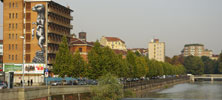 roa | torino | big | italy (27 votes)